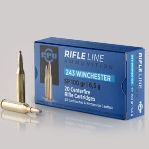 winchester sp 100gr