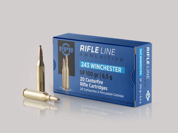 winchester sp 100gr