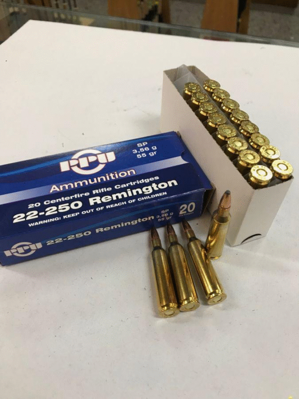 remington sp 55gr